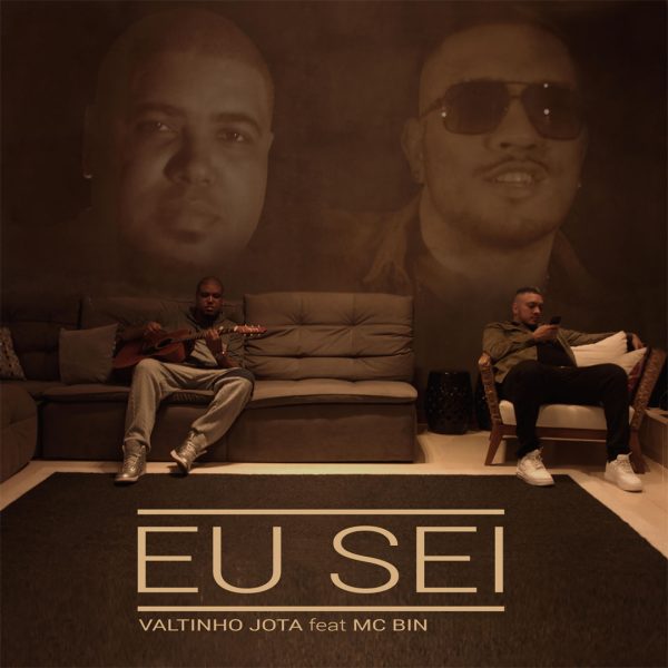 19 - EU SEI